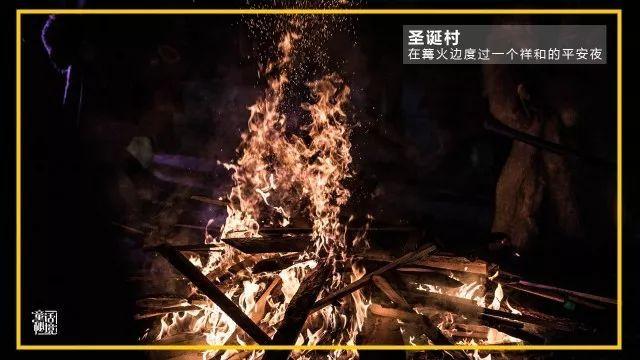 阿拉亚