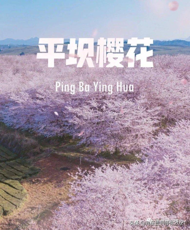 牧场物语希望之光