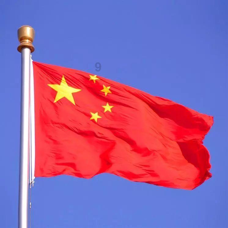 奥利维亚收养猫